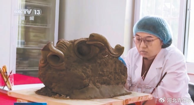 （图为电视截屏）