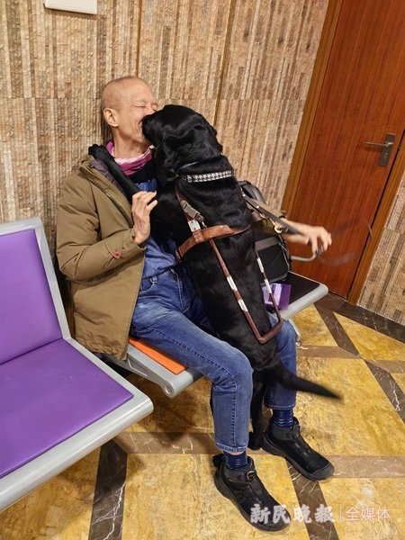 图说：Vinny不停地亲吻曾先生的脸颊。郭剑烽 摄