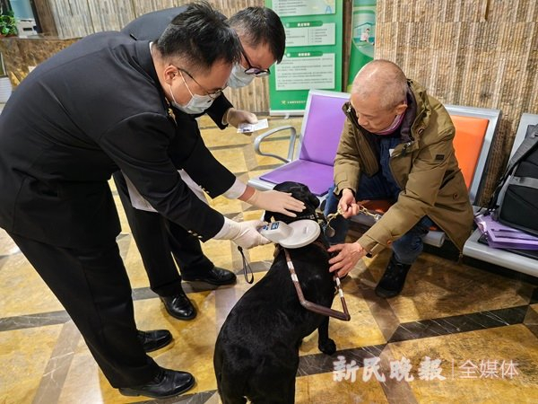 图说：海关关员采集核对导盲犬Vinny的芯片信息。郭剑烽 摄
