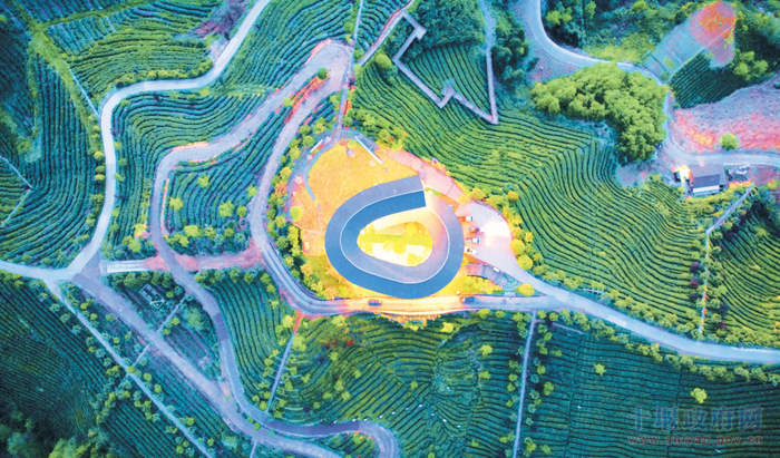 竹山县城关镇刘家山村茶园 张成 摄