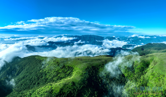 位于竹山和竹溪交界的万亩高山草甸 刘昆 摄