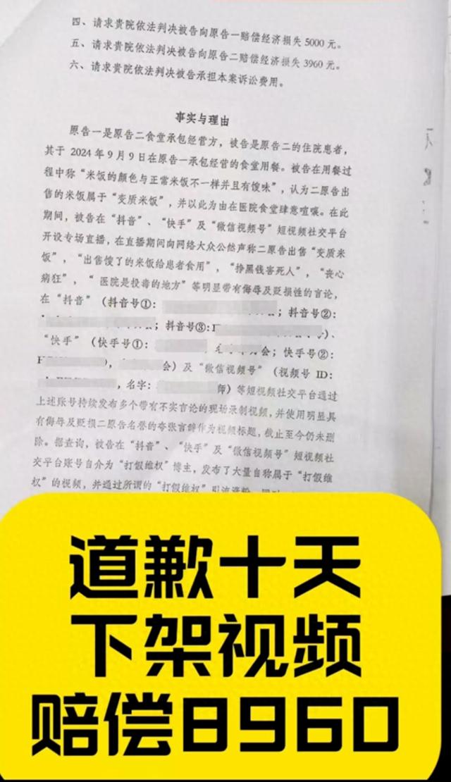 该博主发布的民事起诉状信息（视频截图）