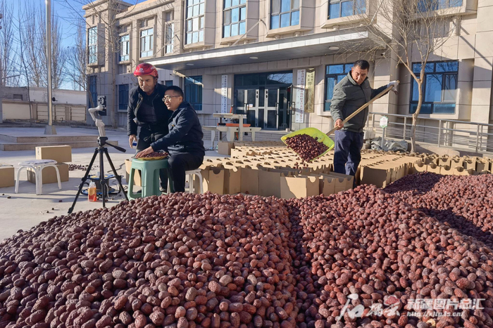 12月4日，且末县琼库勒乡欧吐拉艾日克村党支部书记宋小超（左二）在直播卖红枣。天山网-新疆日报记者 杜建辉摄