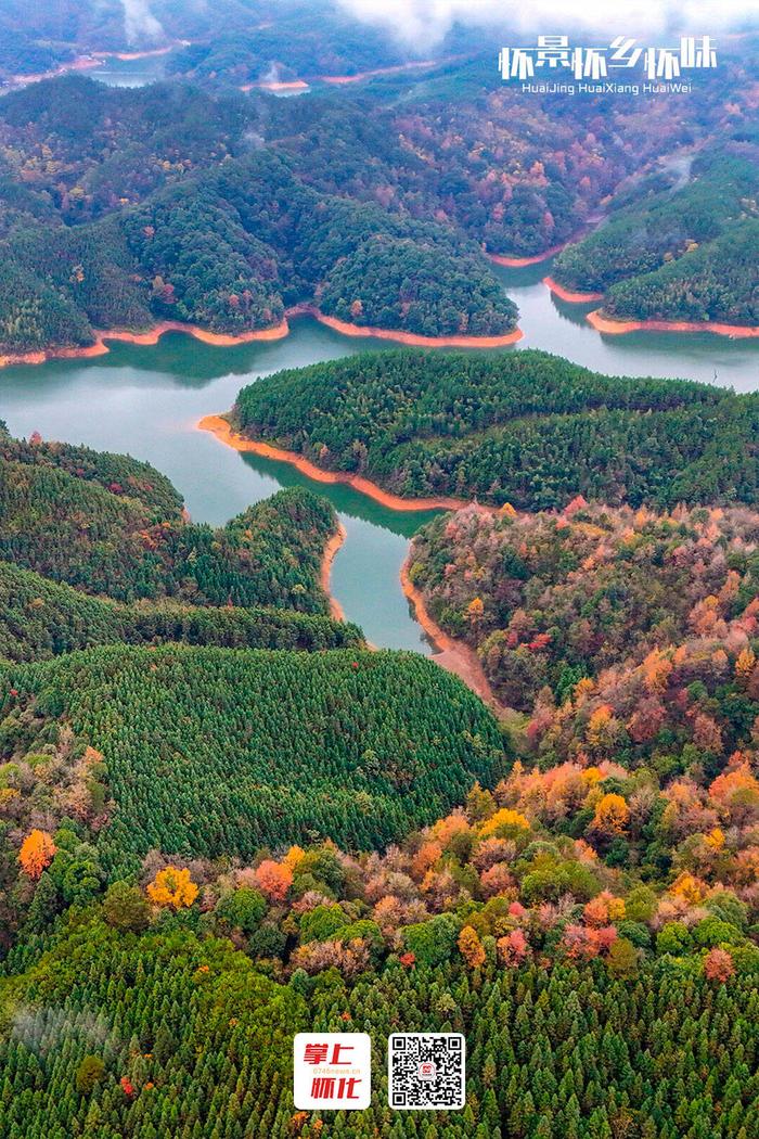 ▲12月6日，玉带河国家湿地公园通道晒口水库段，成片的红枫、乌桕等树木色彩斑斓，美不胜收。（李尚引 摄）