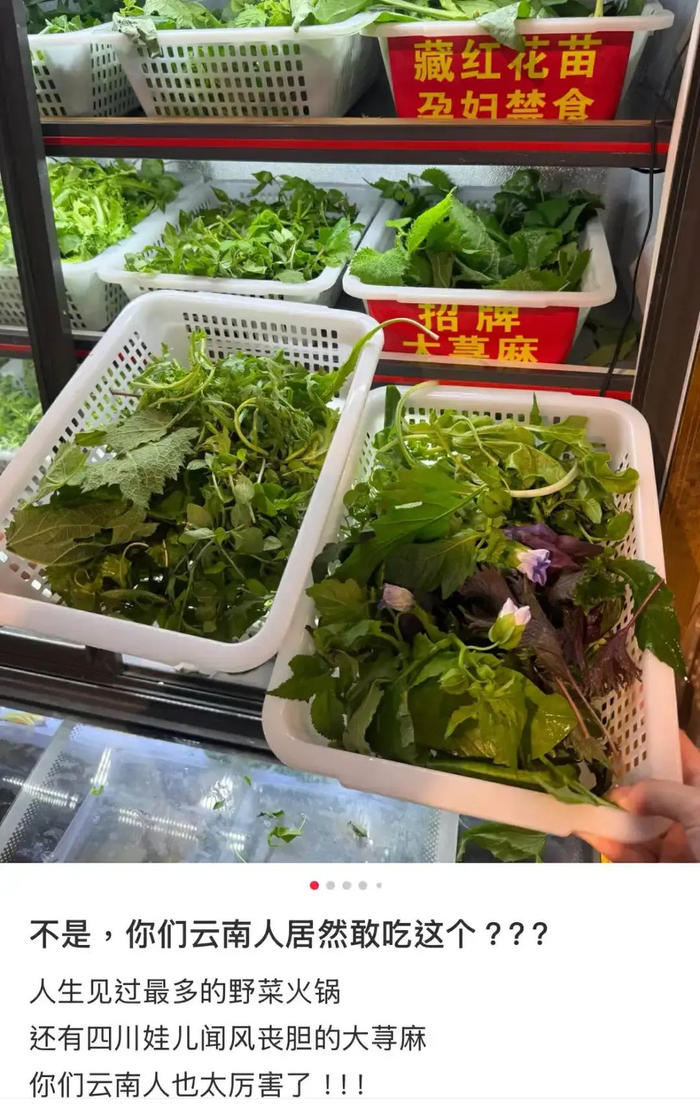 图源：小红书@Cheris