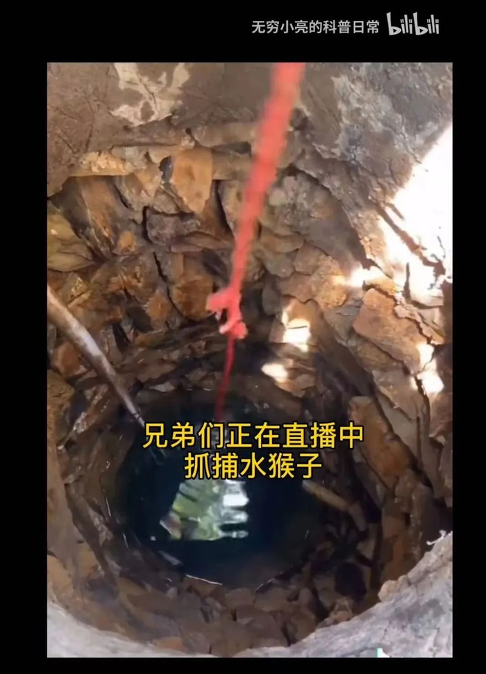 *无穷小亮的科普日常 视频截图