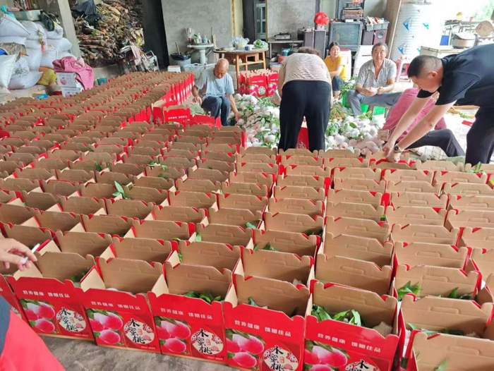 快乐村种植的桃子