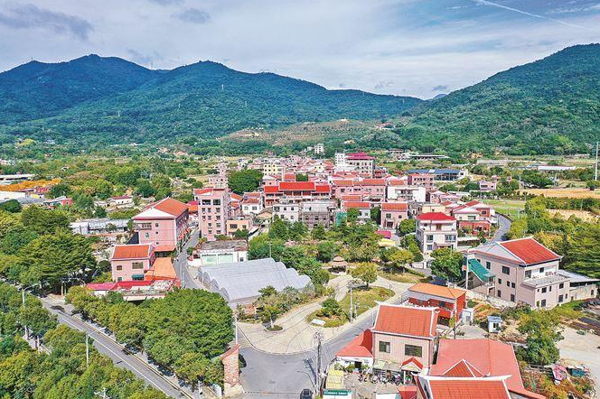 海沧区洪塘村绿树成荫、风景如画。
