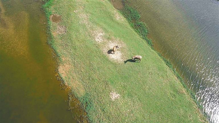 　　昌化江入海口三角洲自然公园，宽敞平坦，沙滩洁净。海南日报记者 陈元才 摄