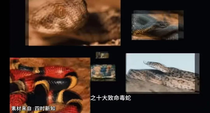 *@世界记忆大师龙雅 视频截图