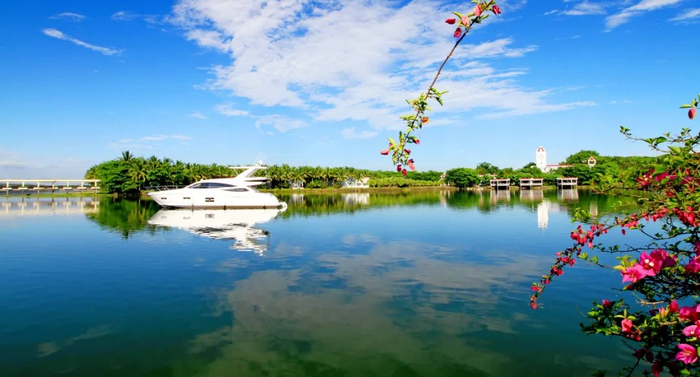 图源定安发布微信公众号