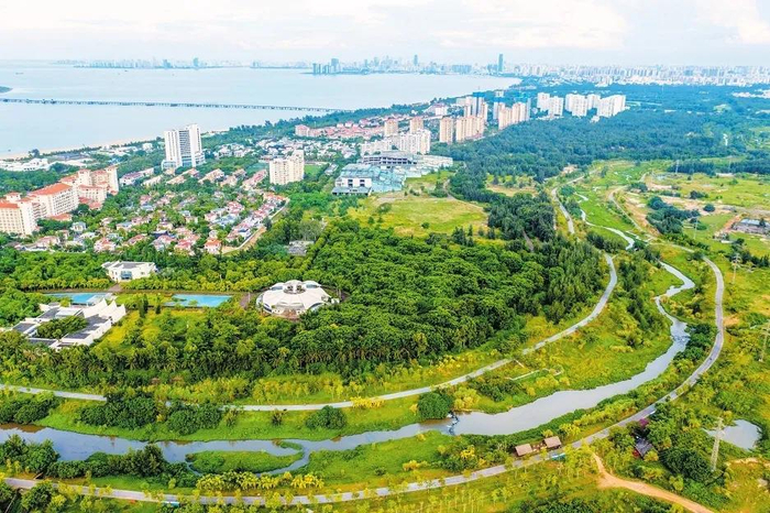 草木滴翠生机盎然的海口五源河国家湿地公园下游。记者 石中华 摄