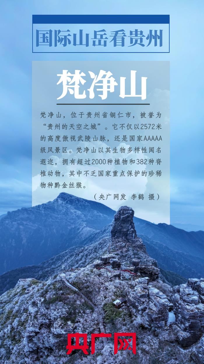 统筹：栾小琳