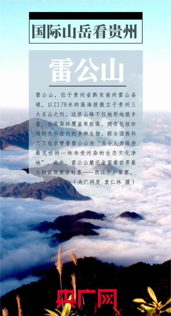 统筹：栾小琳