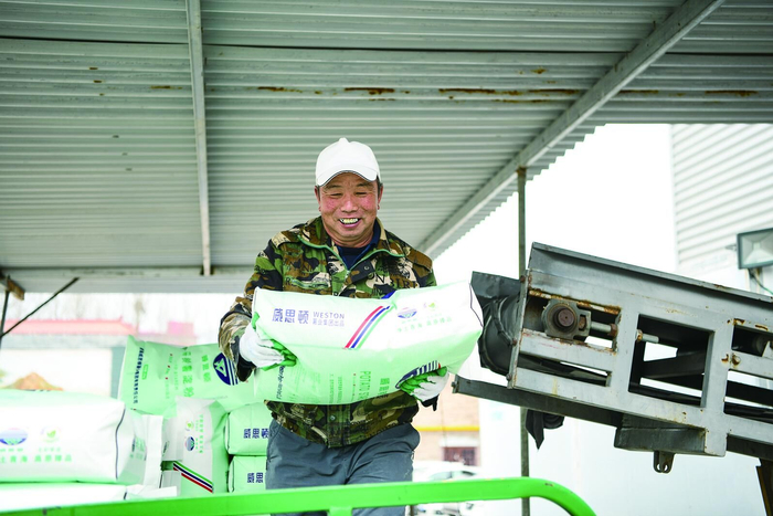 加工好的马铃薯淀粉。