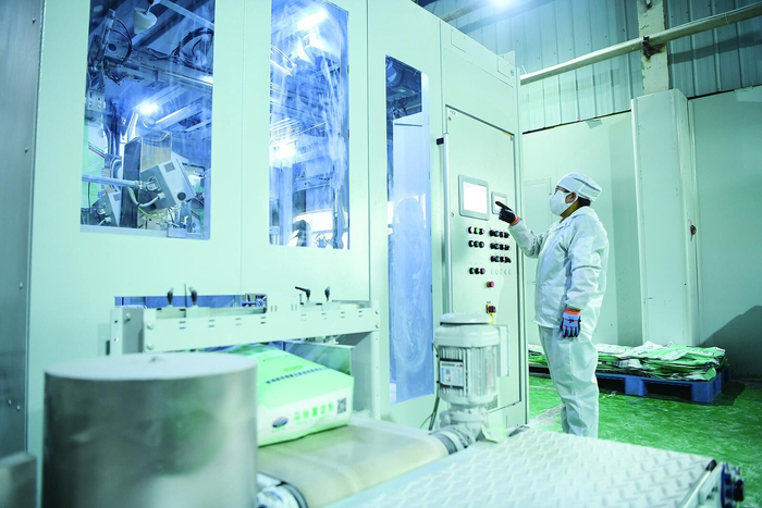 马铃薯淀粉加工现场。照片均由 罗珺 摄