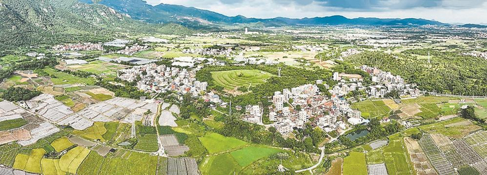 位于明溪村的高标准农田  夏海滨 摄