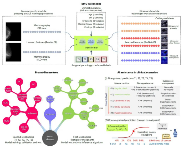 （来源：Nature Biomedical Engineering）