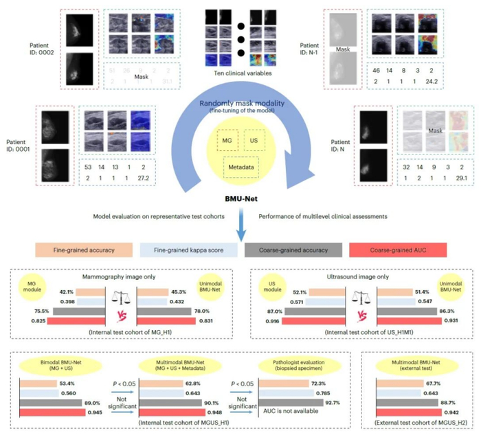 （来源：Nature Biomedical Engineering）