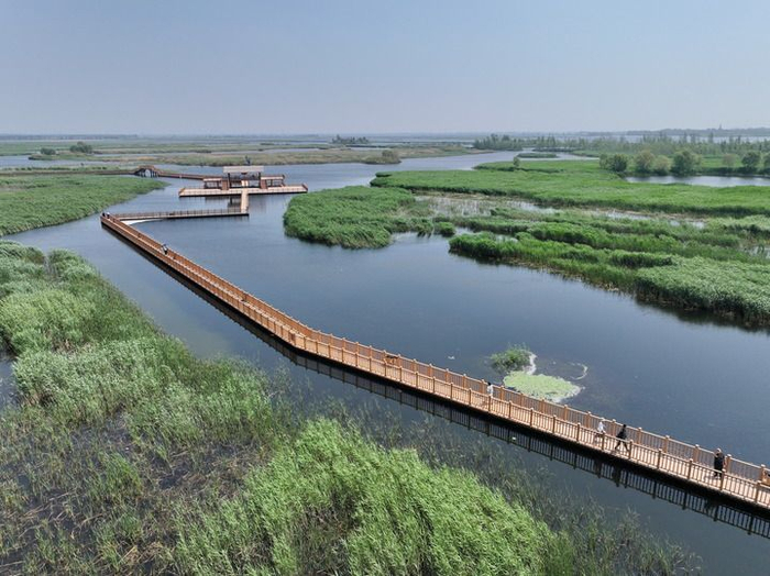 游客在河北雄安新区白洋淀内游览（2024年5月8日摄，无人机照片）。新华社记者 牟宇 摄