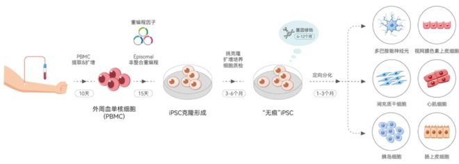 图 | iPSC 技术路线（来源：资料图）