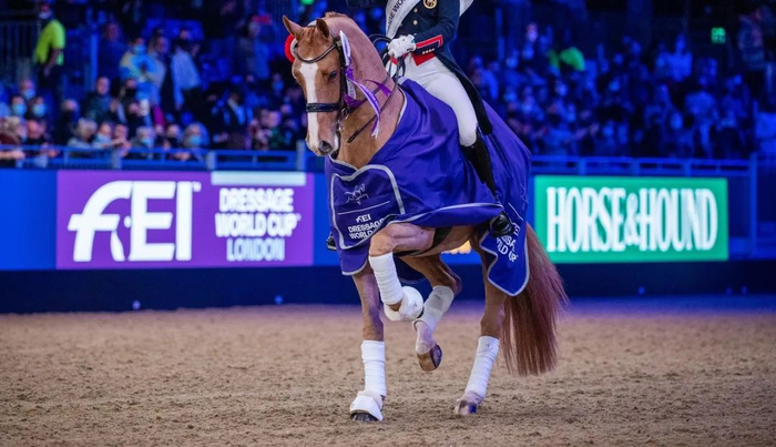 马是一种非常重的动物，使用看似十分纤细的腿来移动，之所以能做到这一点，是因为它们有着令人难以置信的肌腱