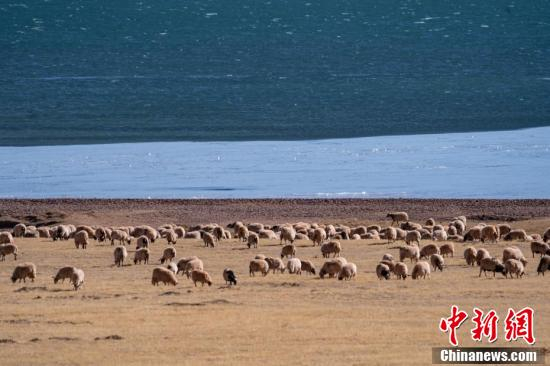 中新社记者 贡嘎来松 摄