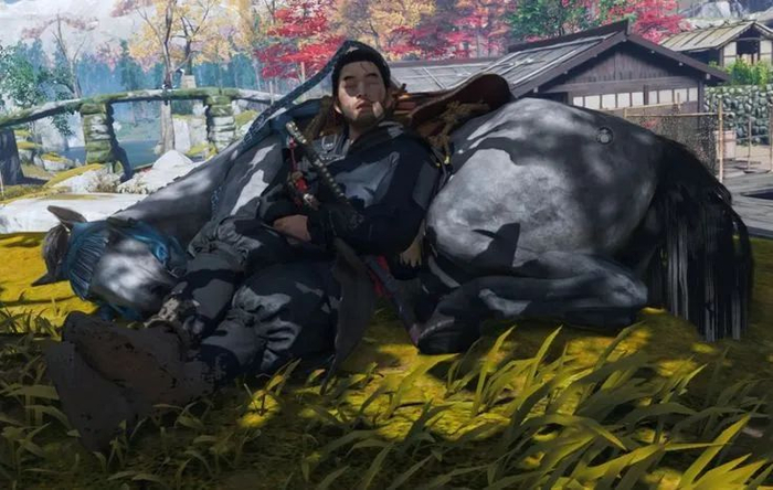 “没人会这样做，马鞍会坏掉的，应该把那玩意儿藏起来！”