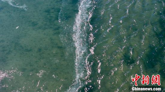 中新社记者 薛蒂 摄