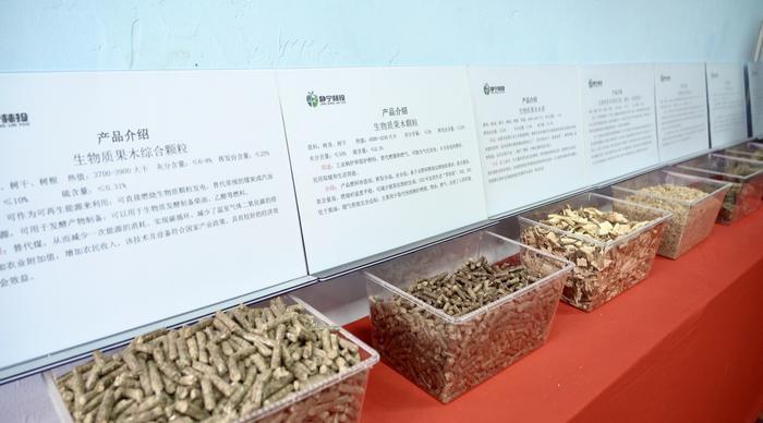 生物质颗粒燃料样品展示（田博 摄）