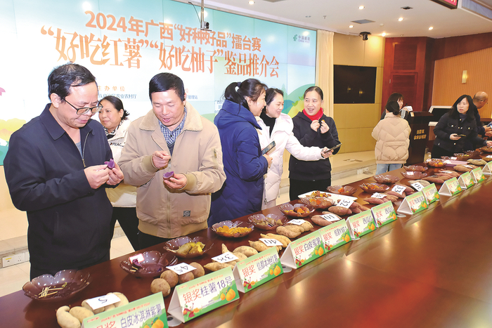     ▲嘉宾对获奖红薯品种赞不绝口。