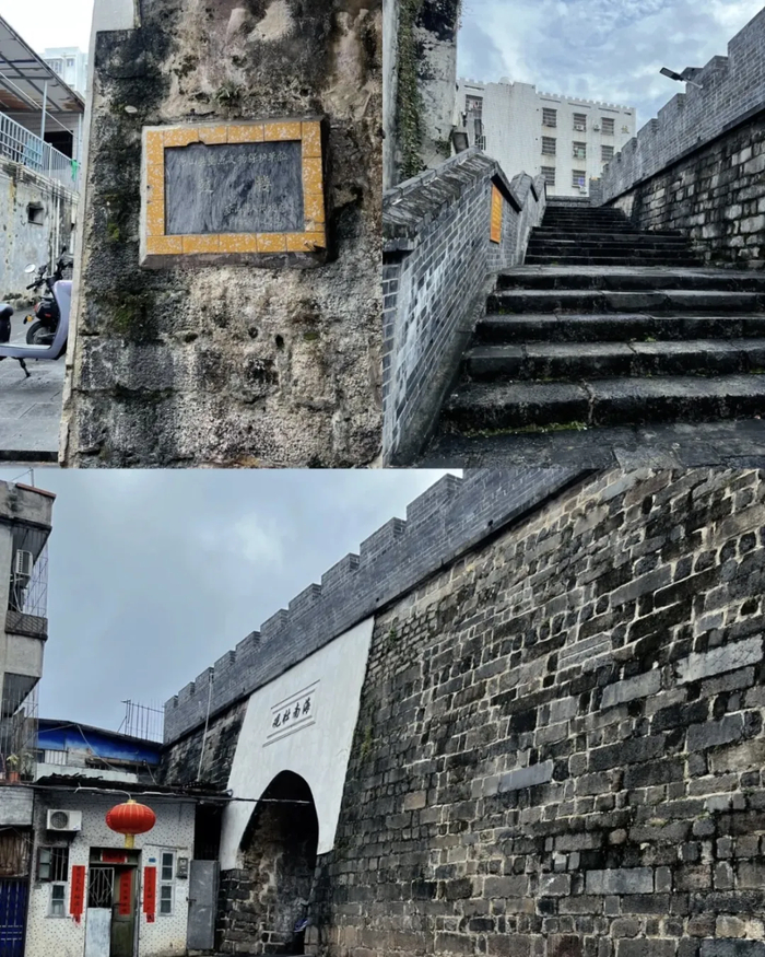 图/小红书博主 爱干饭的豆豆龙