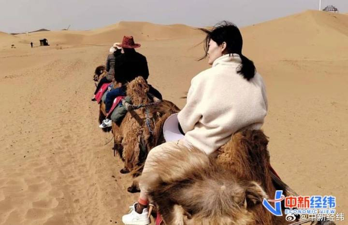 ▲沙坡头景区 来源：受访者提供