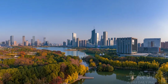 转眼间，2024年即将画下句号。