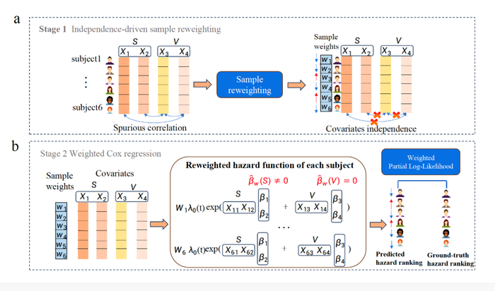 (Stable Cox模型框架)