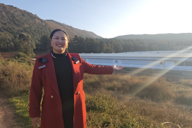 武竹平和她的猪场。