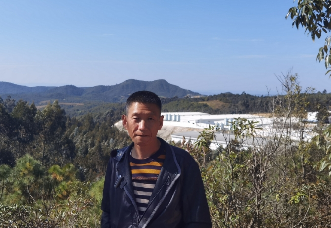 何伟和他的猪场。