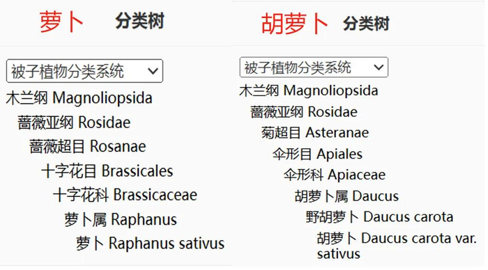 图：中国 iPlant 植物智
