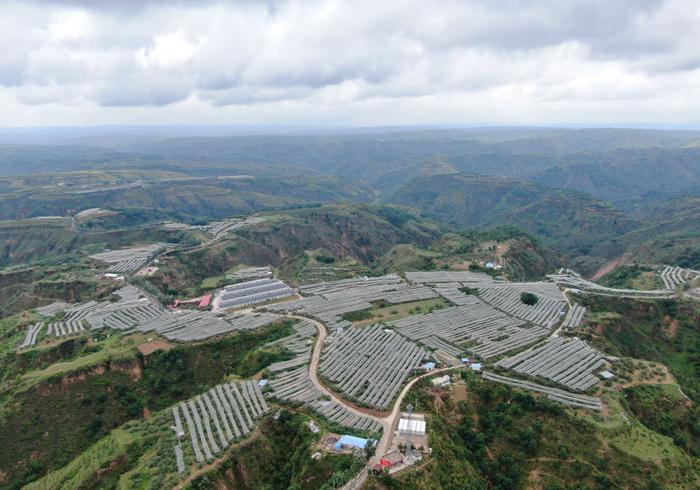 　　这是2023年6月28日拍摄的陕西省延安市延川县文安驿镇梁家河村山地苹果园（无人机照片）。新华社记者 张博文 摄