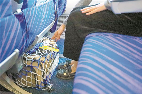 多家航司推出宠物进客舱服务