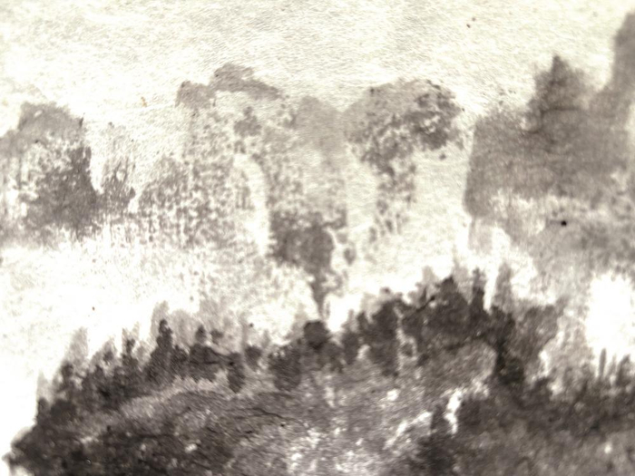     ▲《梦里家山》 胡晓明 作