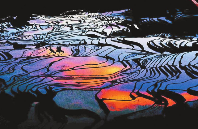 元阳梯田 饶勇 摄