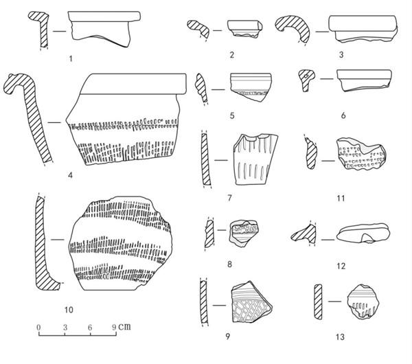 图5 万山遗址采集辽金时期陶器