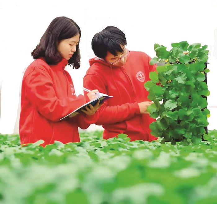         曲周县委宣传部供图    