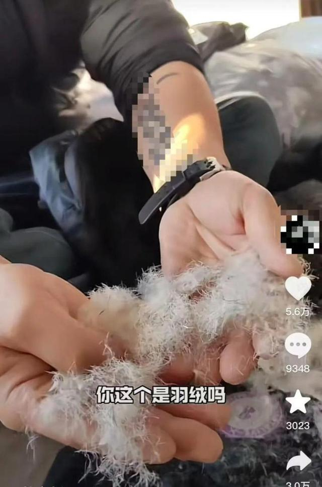 （电商童装领域是低质飞丝的“重灾区”）