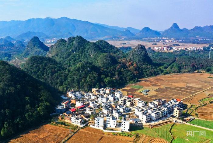 东江村航拍美景（央广网发 唐文勇 摄）