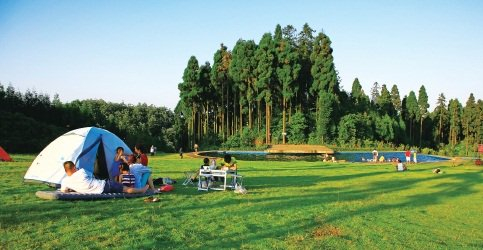 森林康养基地纷纷落户眉山市洪雅县。图为洪雅县玉屏山野鸡坪露营地。　资料图