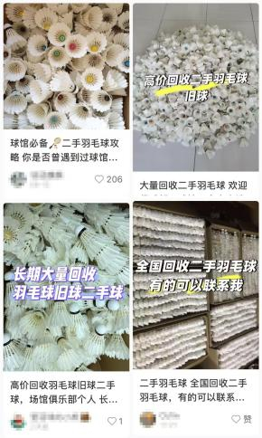 社交平台上的“二手羽毛球回收”信息