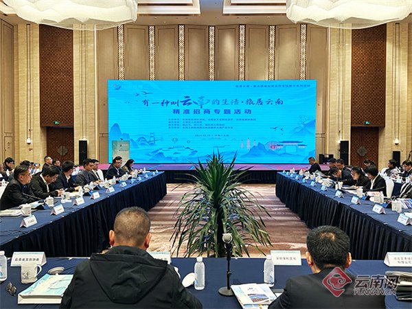 有一种叫云南的生活·旅居云南精准招商专题推介会 陈一珺 摄