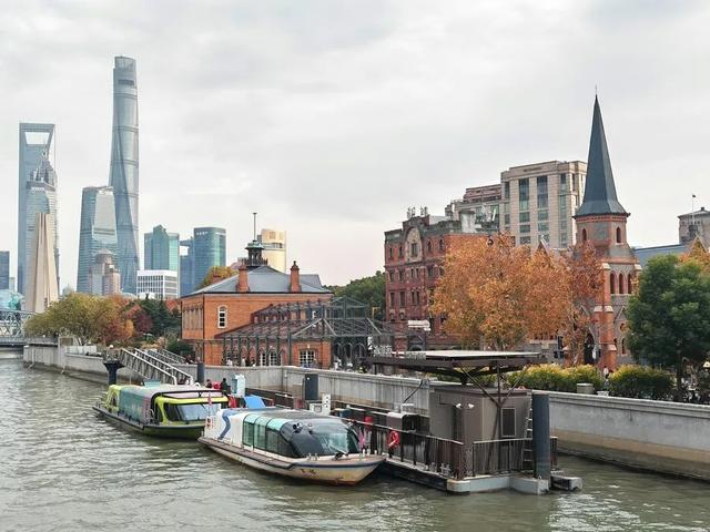 上海苏州河畔秋色宜人。 李宝花 摄